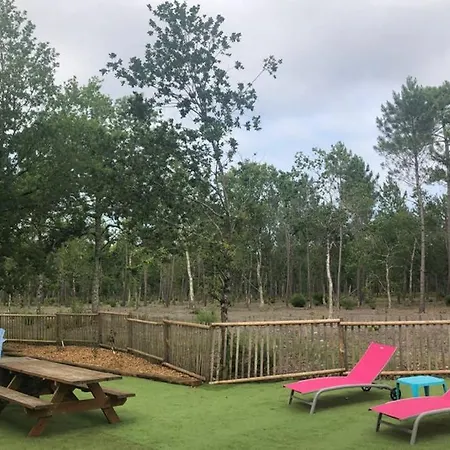 Chalet Prestige Bassin D'arachon *